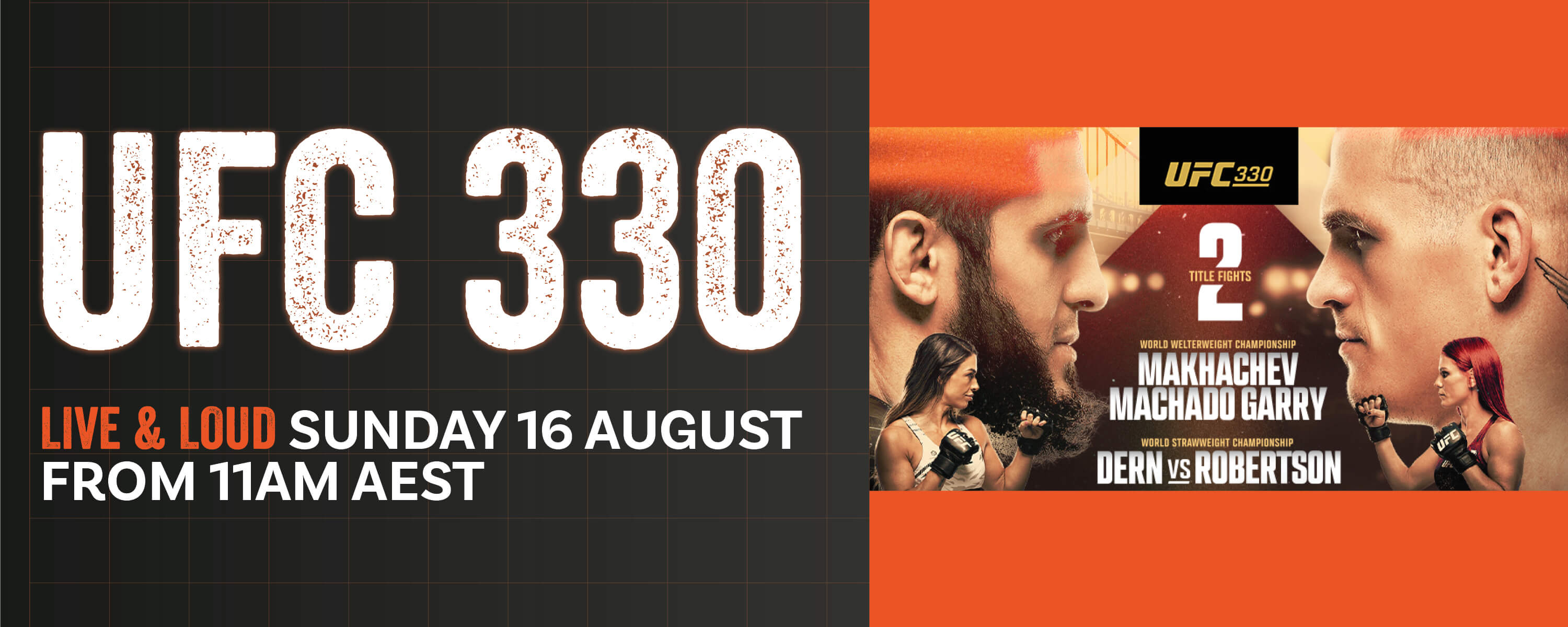 UFC 330