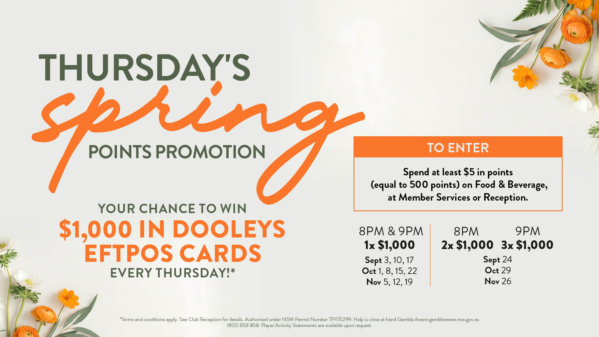 Spring Points Promo
