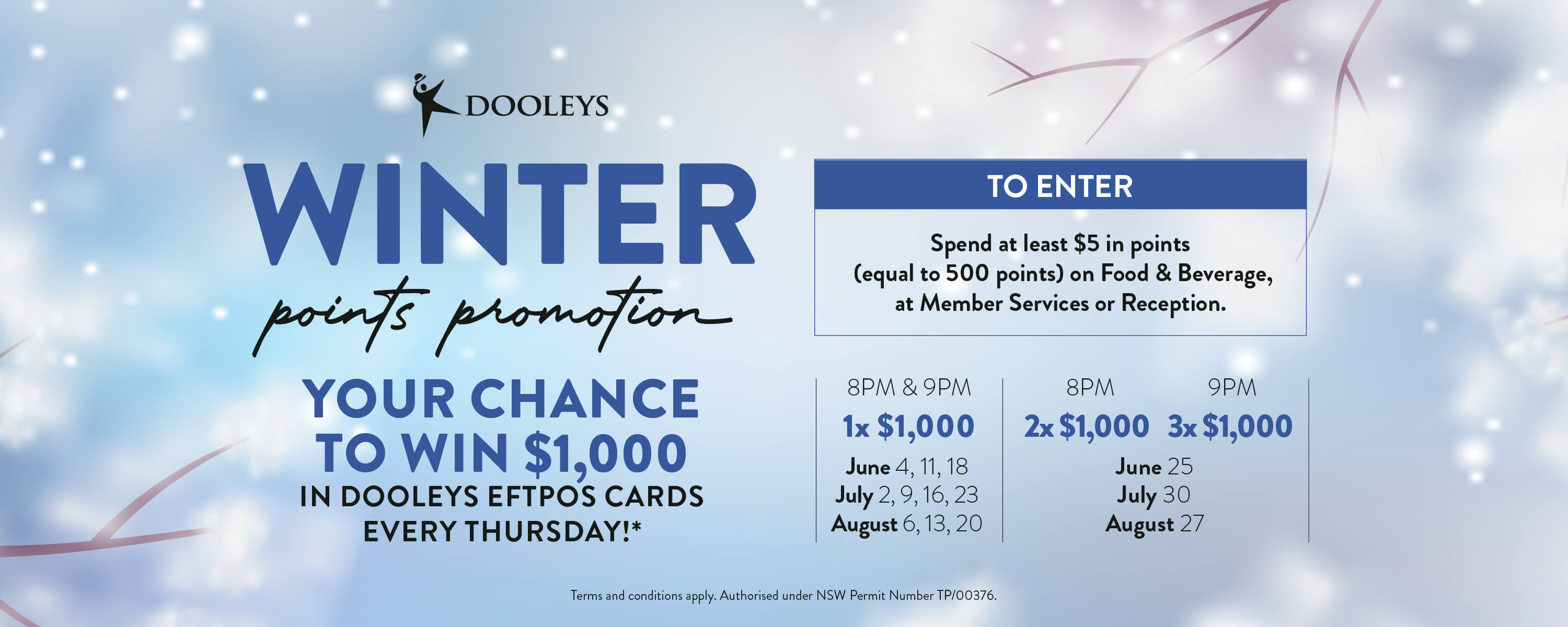 Winter Points Promo LID