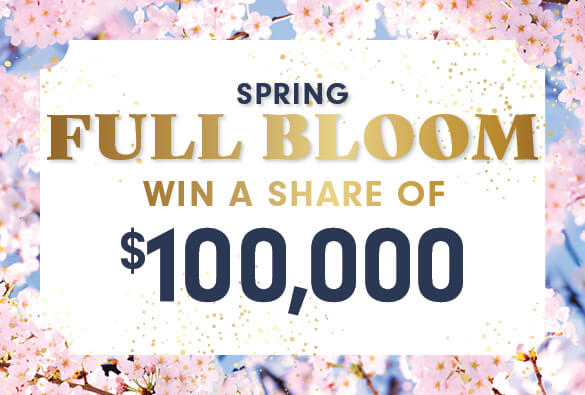 Spring Full Bloom Promotion