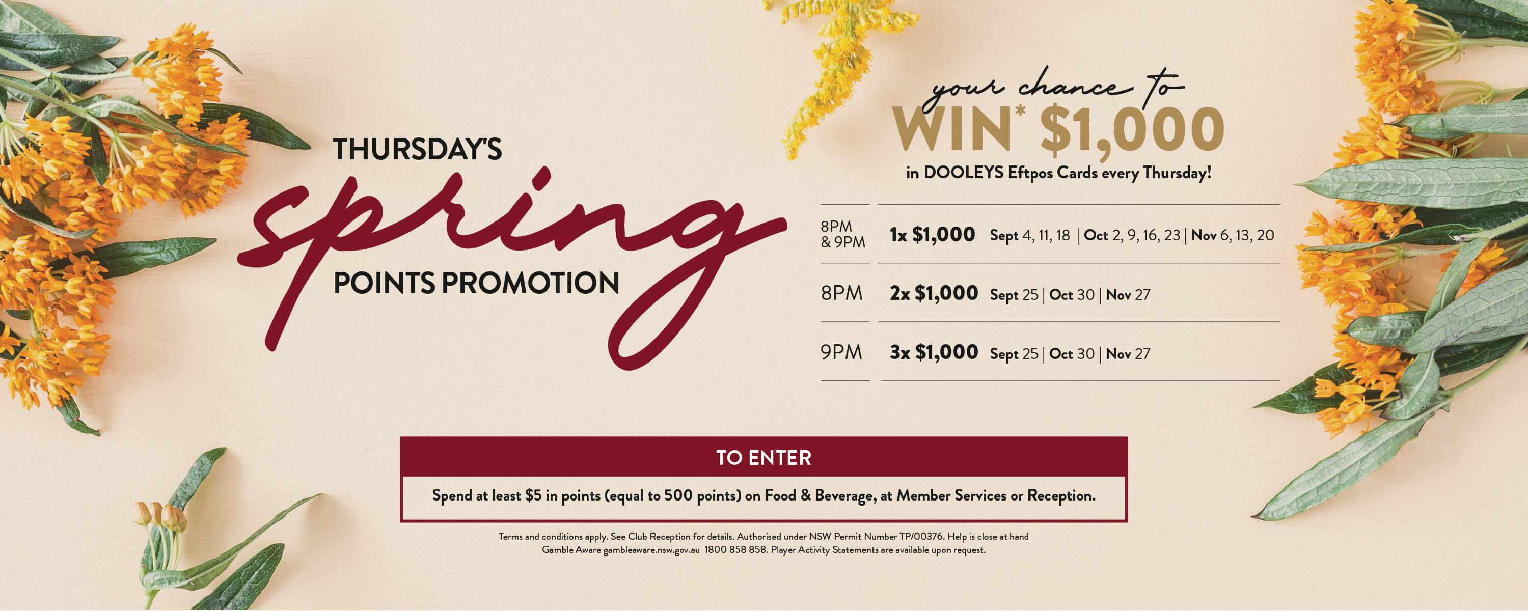 Spring Points Promotion