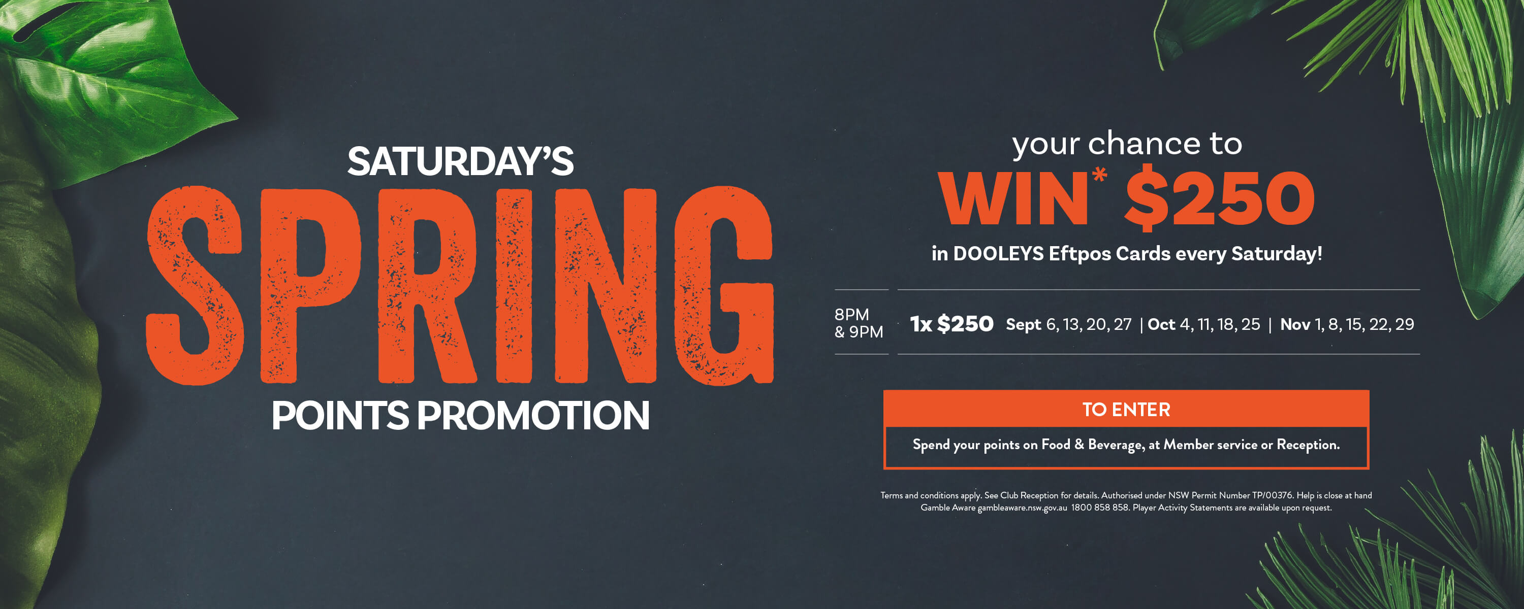 Spring Points Promotion