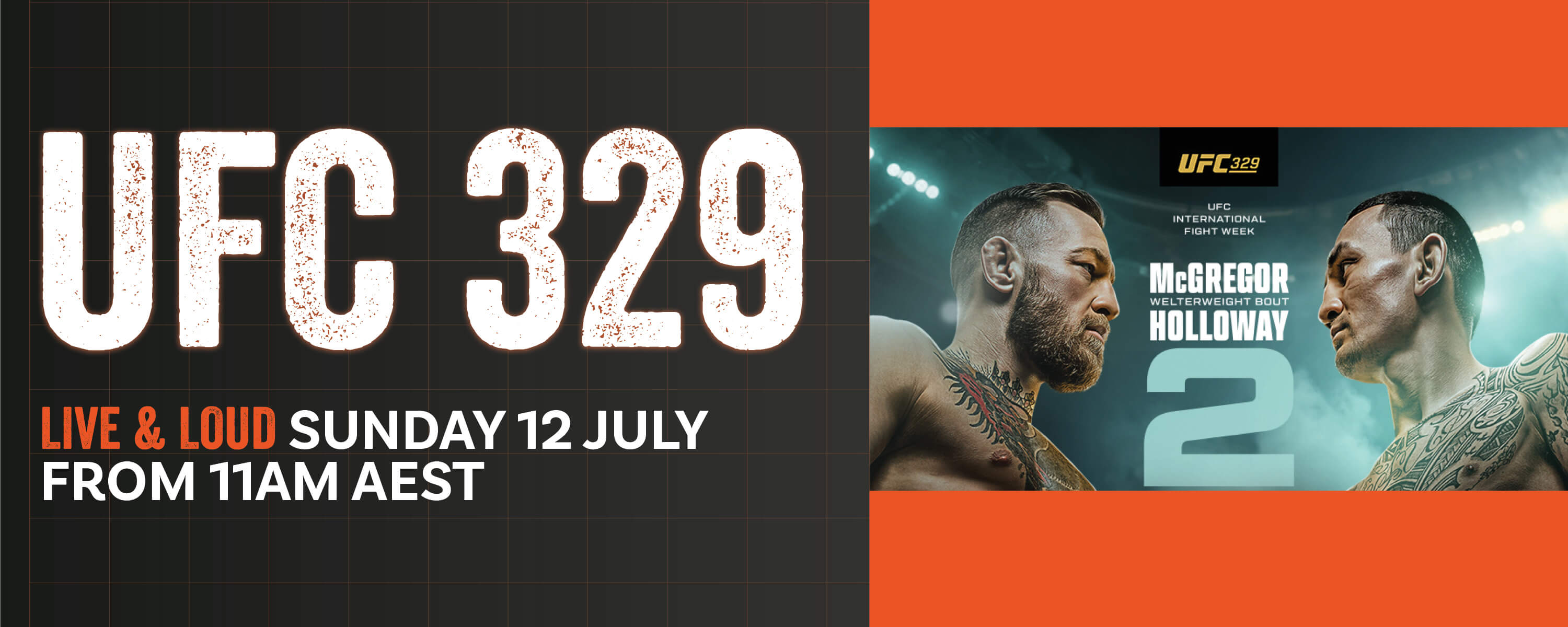 UFC 329