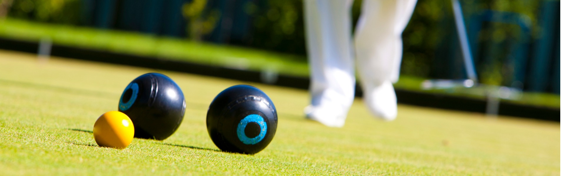 bowls banner