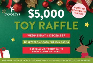 Toy Raffle