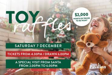 Christmas Toy Raflle