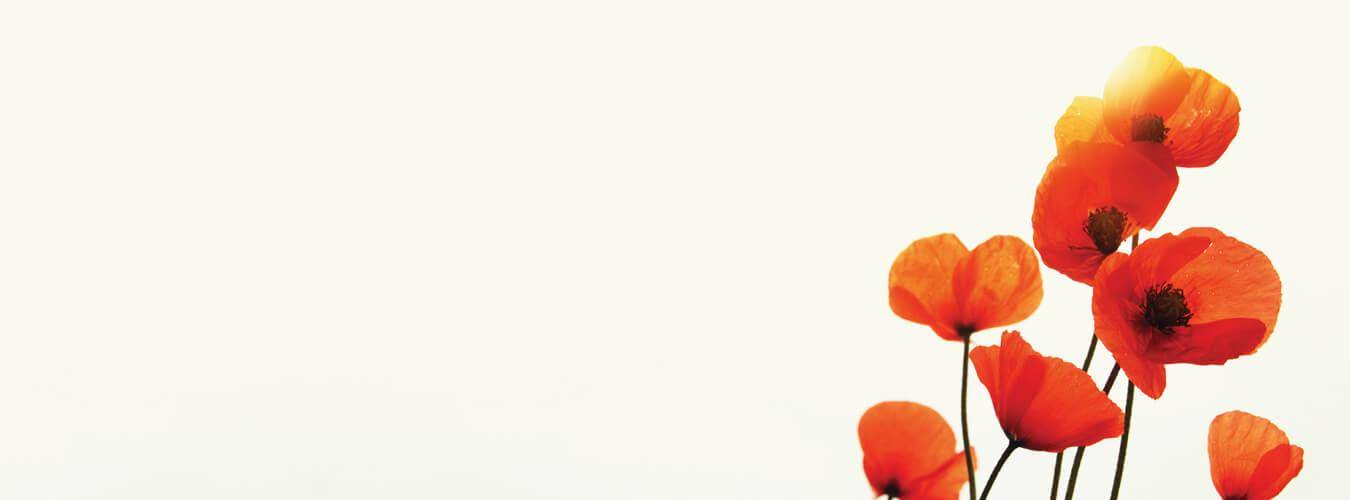 Anzac Day at DOOLEYS