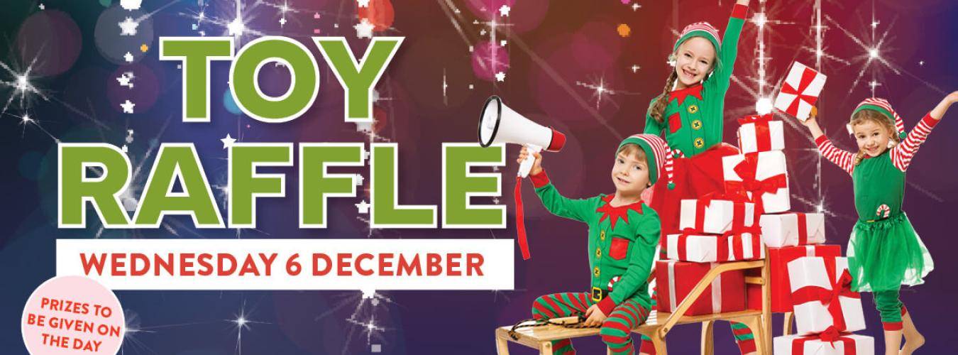 Toy Raffle