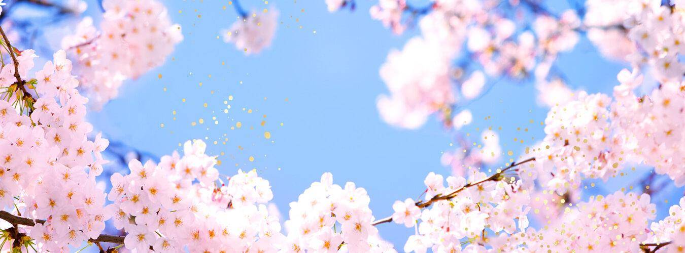 Spring Full Bloom_Web Banner