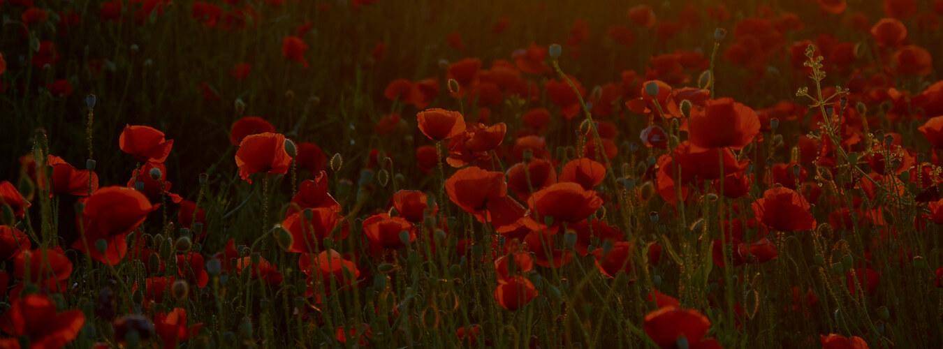Anzac Day
