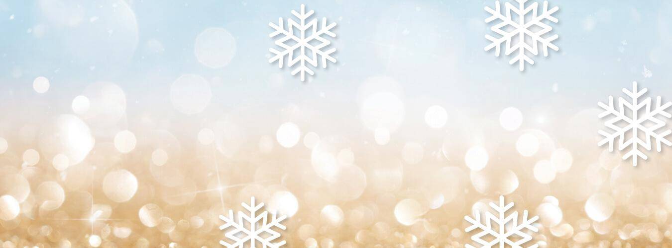 Winter Blitz WEB Banner