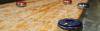 shuffleboard club sydney