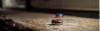 Shuffleboard Club Sydney